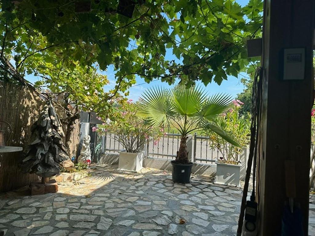 Ferienwohnung Insel Reichenau Bagian luar foto